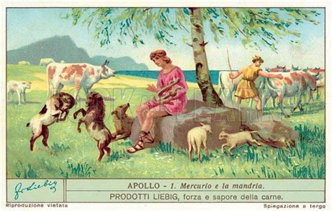 hermes apollo cattle